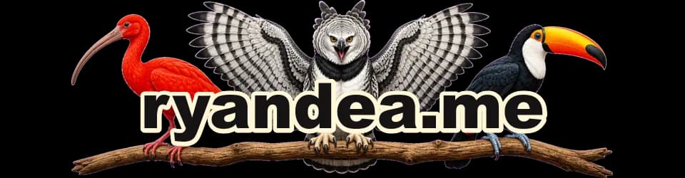 ryandea.me